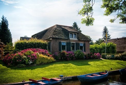 Specialty Landscaping Business for sale | West Los Angeles