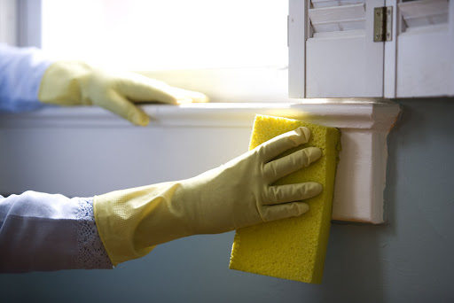Janitorial Services