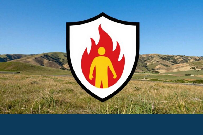 fire and life safety business valuation California